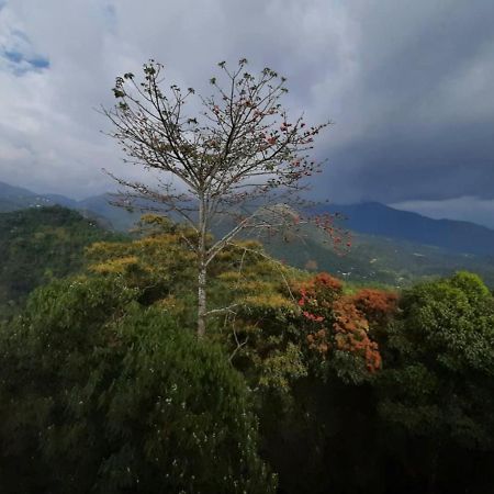 Palmtree Leaf, Munnar Hotel ภายนอก รูปภาพ